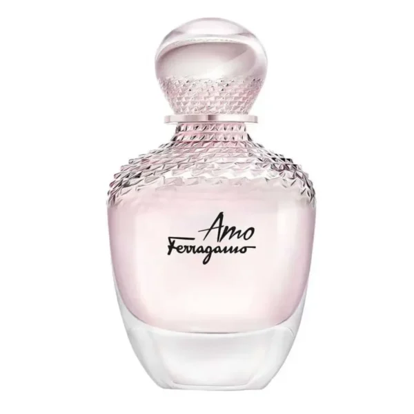 Salvatore Ferragamo Amo EDP 100 ml