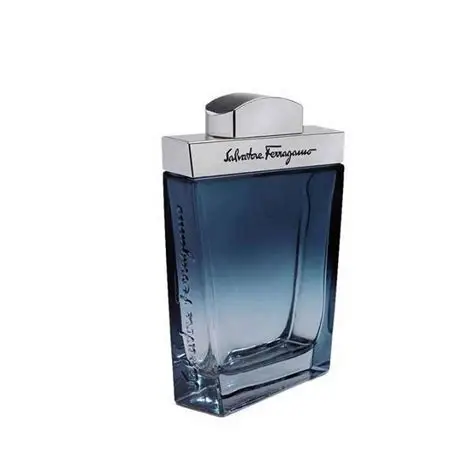 Salvatore Ferragamo Subtil Pour Homme EDT 100 ml