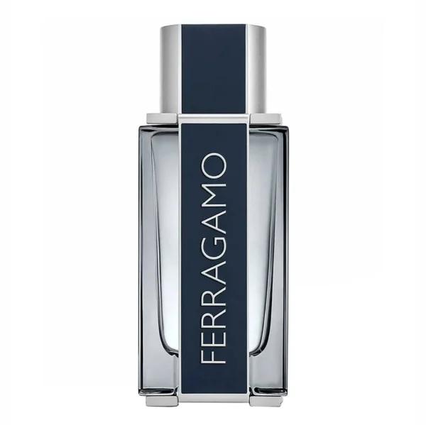 Salvatore Ferragamo Ferragamo EDT 100 ml