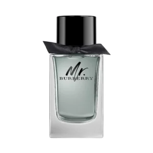 Burberry Mr Burberry EDT 100 ml