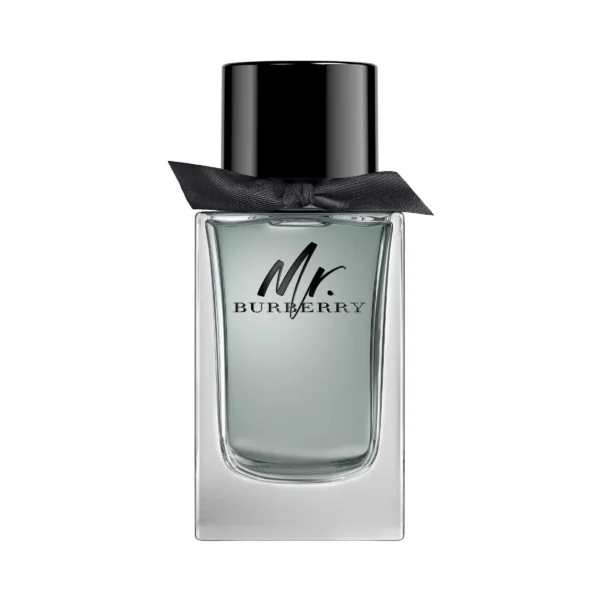 Burberry Mr Burberry EDT 100 ml