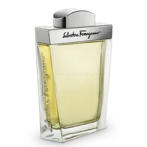 Salvatore Ferragamo Pour Homme EDT 100 ml