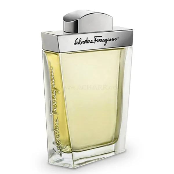 Salvatore Ferragamo Pour Homme EDT 100 ml