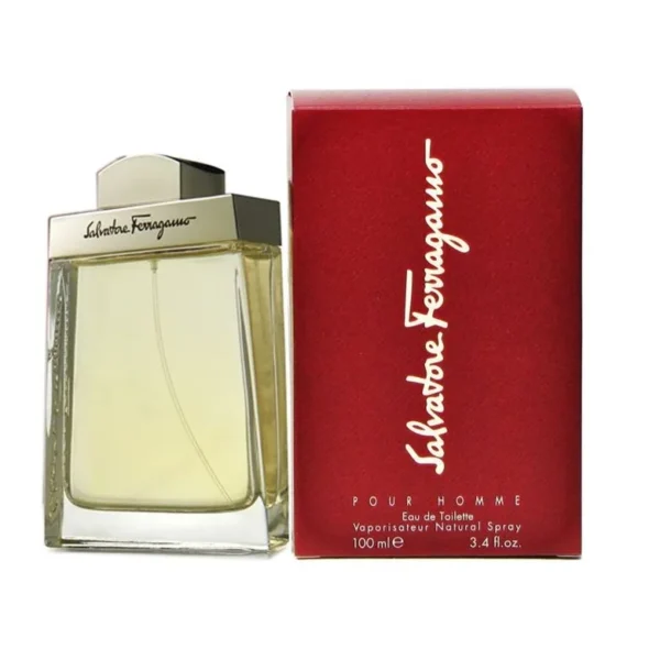 Salvatore Ferragamo Pour Homme EDT 100 ml
