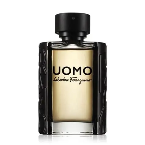 Salvatore Ferragamo Uomo EDT 100 ml