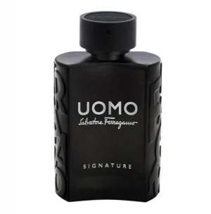 Salvatore Ferragamo Uomo Signature EDP 100 ml