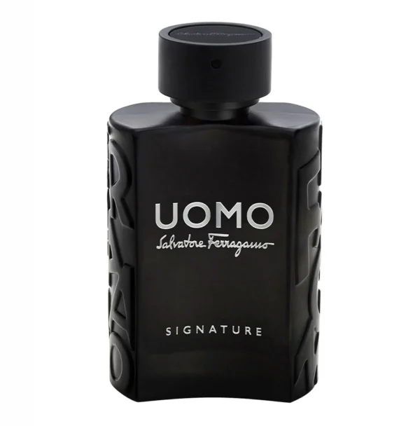 Salvatore Ferragamo Uomo Signature EDP 100 ml