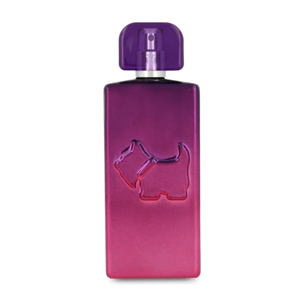 Ferrioni Electric Vibes EDT 100 ml