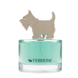 Ferrioni Green For Him EDT 100 ml