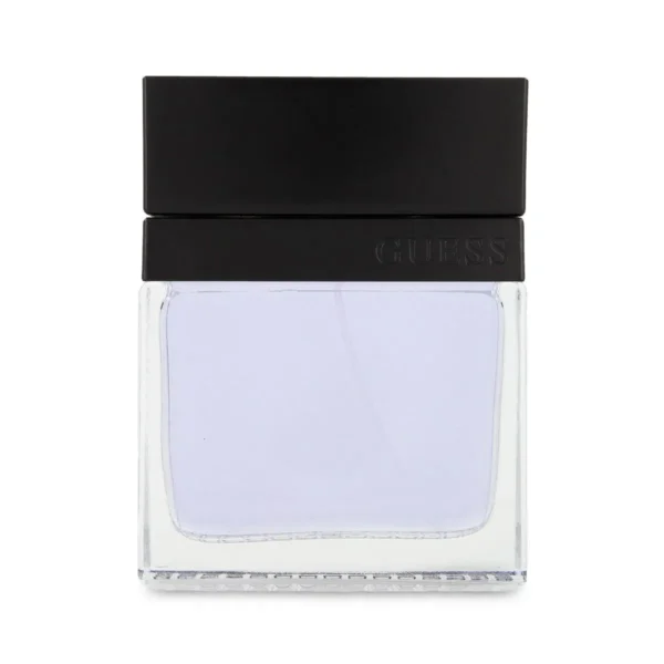 Guess Seductive Homme EDT 100 ml