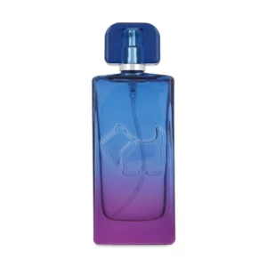 Ferrioni Sunset Vibes Bombay EDT 100 ml
