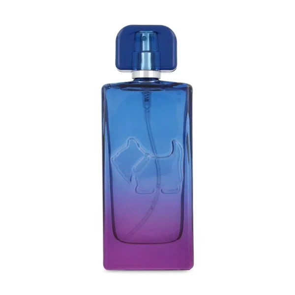 Ferrioni Sunset Vibes Bombay EDT 100 ml