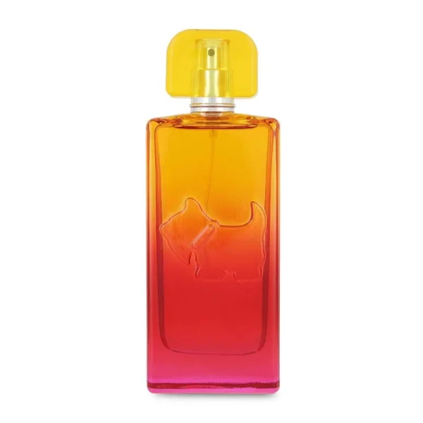 Ferrioni Sunset Vibes Malibu EDT 100 ml