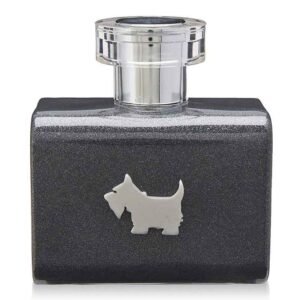 Ferrioni Terrier Grey EDT 100 ml