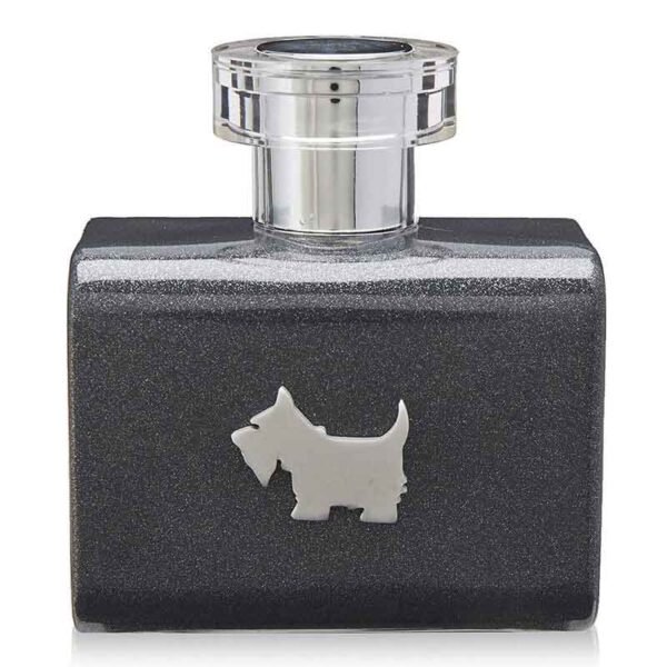 Ferrioni Terrier Grey EDT 100 ml