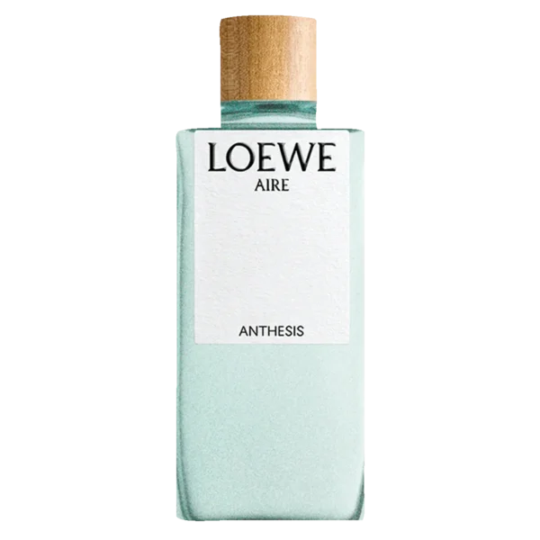 Loewe Aire Anthesis EDT 100 ml