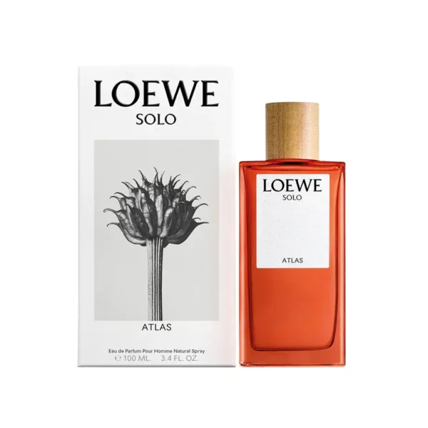 Loewe Solo Atlas EDP 100 ml