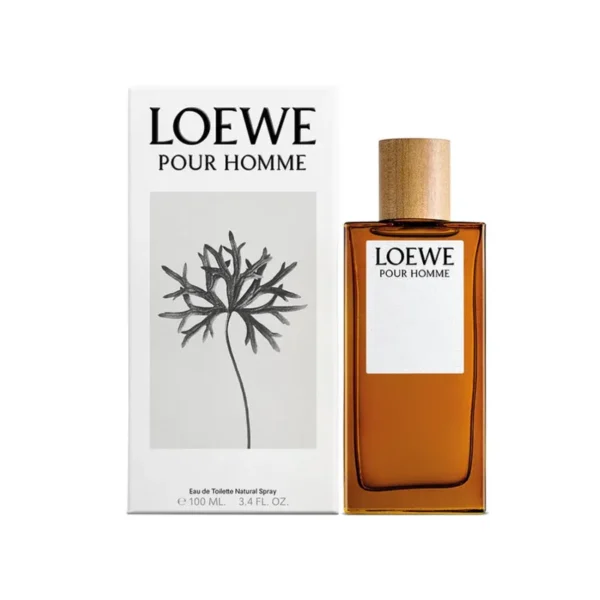 Loewe Pour Homme EDP 100 ml